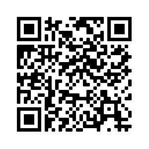 QR Code Schulprogramm allgemein